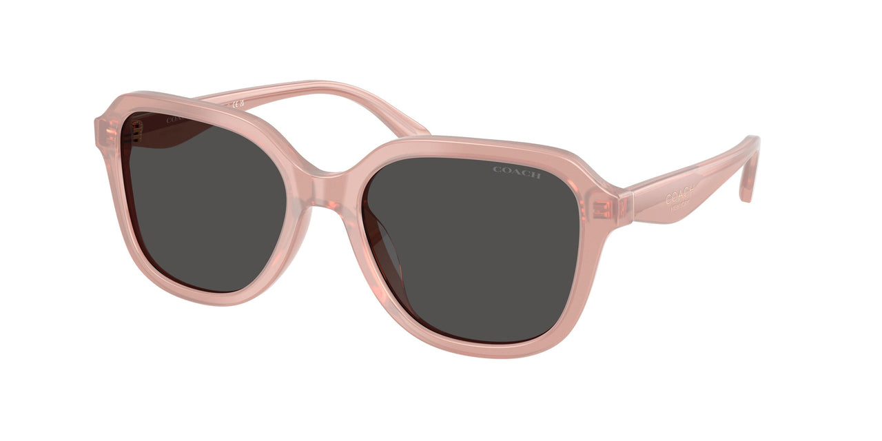 Coach Cby89 8437F Sunglasses