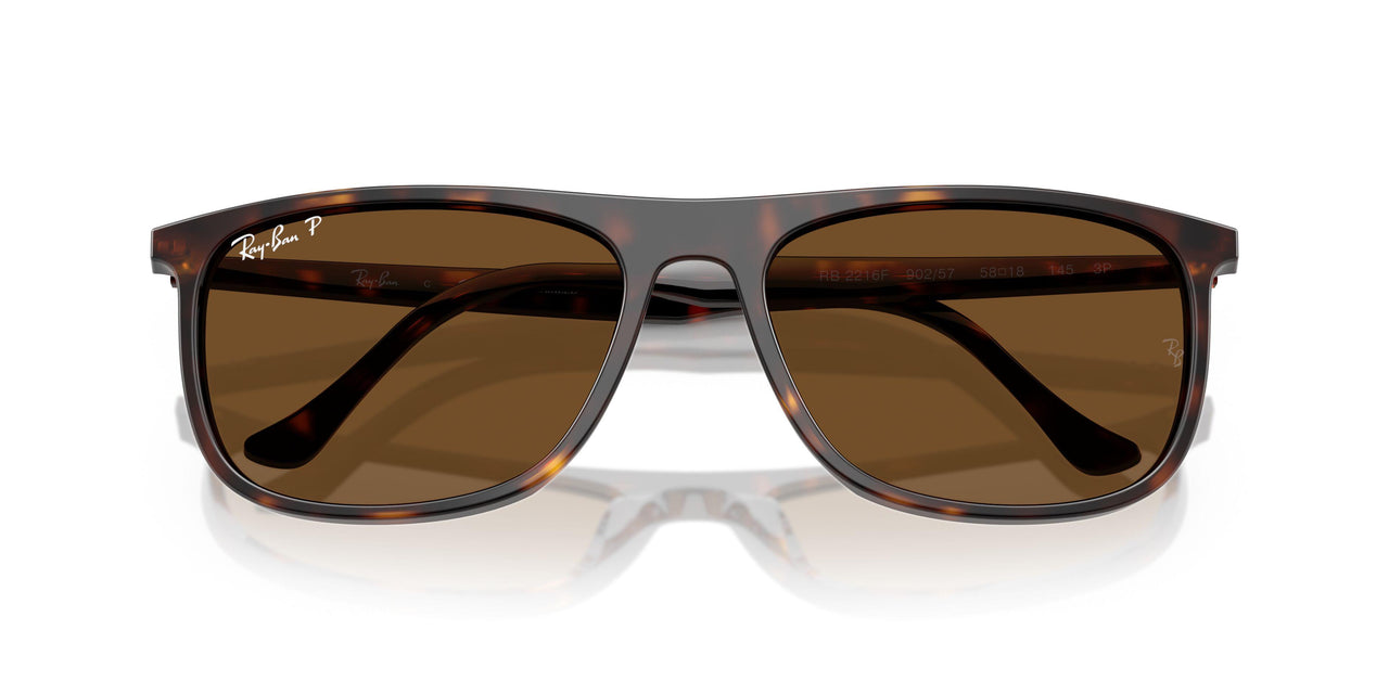 902/57 - Tortoise - Brown Polar