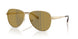10149A - Gold - Dark Brown
