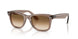 682751 - Brown - Clear Gradient Brown