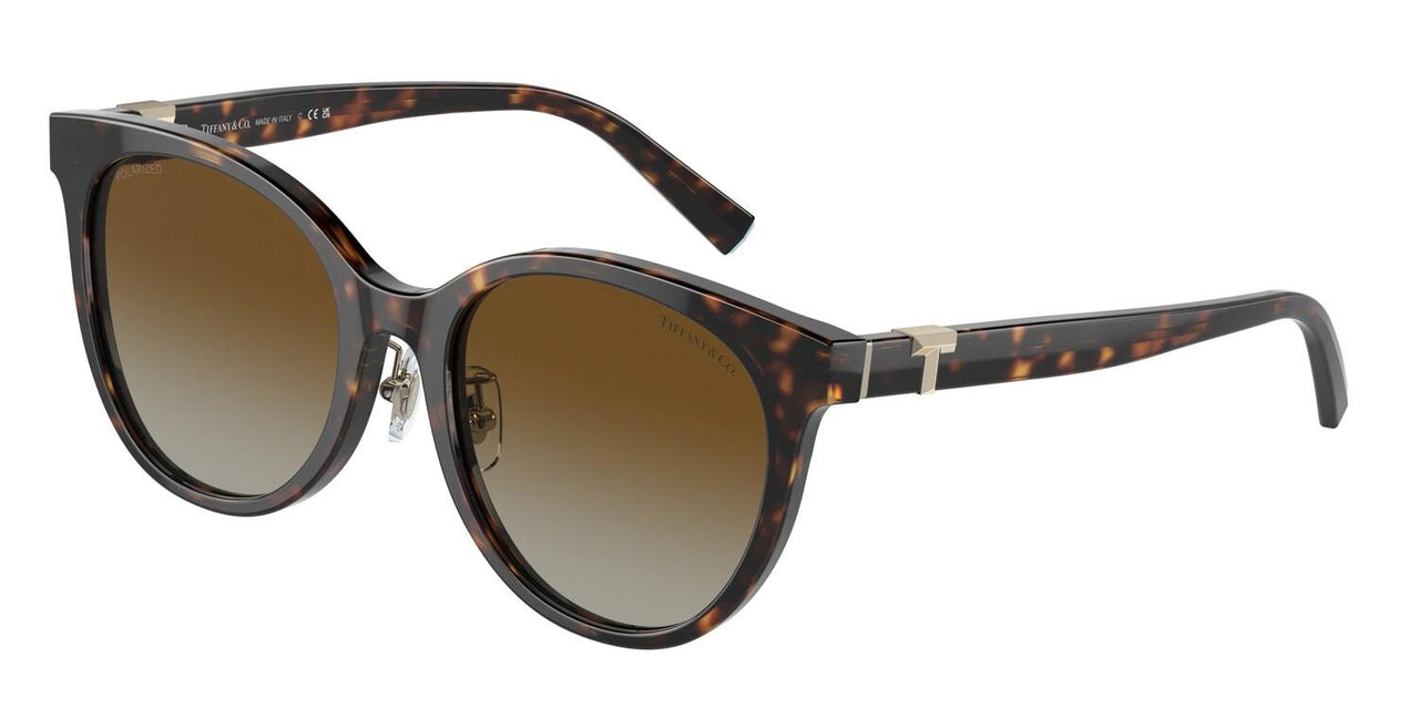 8015T5 - Tortoise - Polar Brown Gradient
