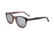 C4 - BROWN