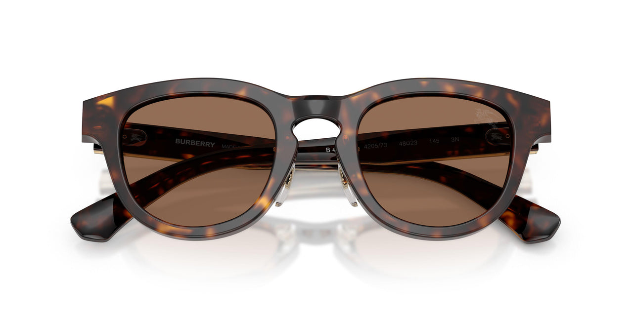 420573 - Brown - Dark Brown