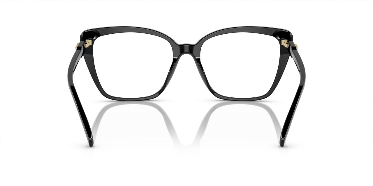 3005 - Black