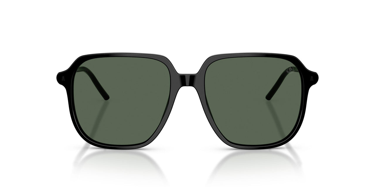 300171 - Black - Dark Green Solid