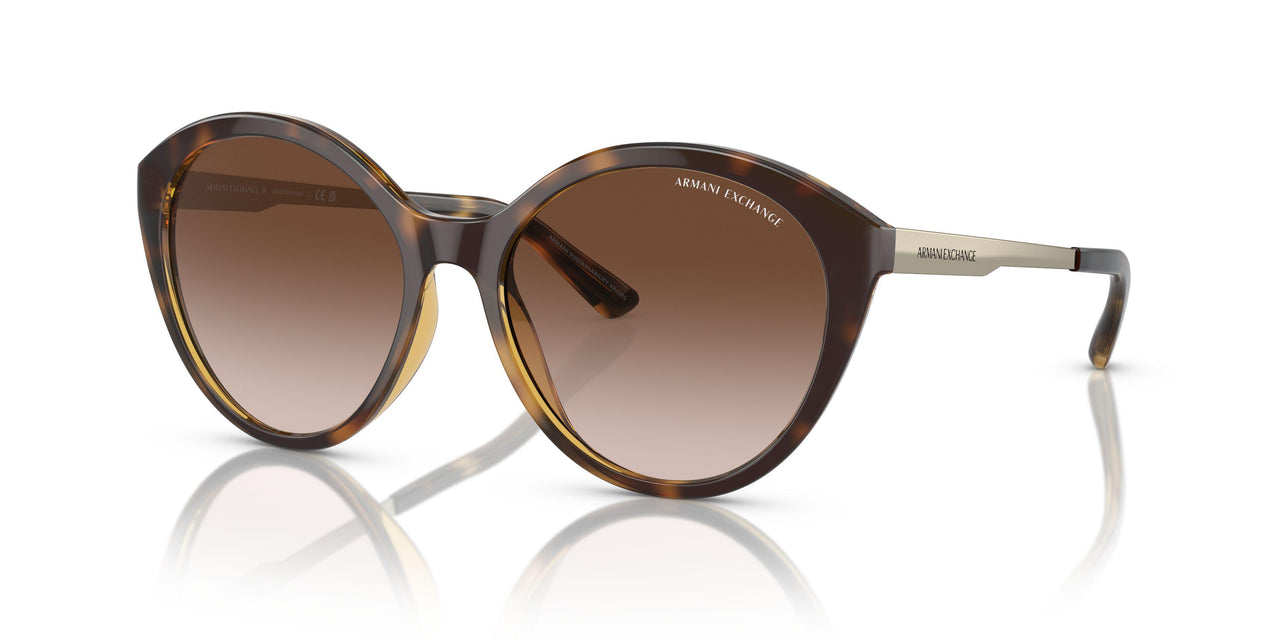 821313 - Tortoise - Gradient Brown