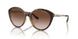 821313 - Tortoise - Gradient Brown