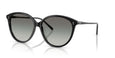 173111 - Black - Grey Gradient
