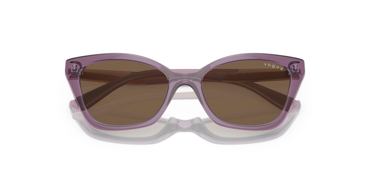 306473 - Transparent Violet - Dark Brown