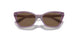 306473 - Transparent Violet - Dark Brown