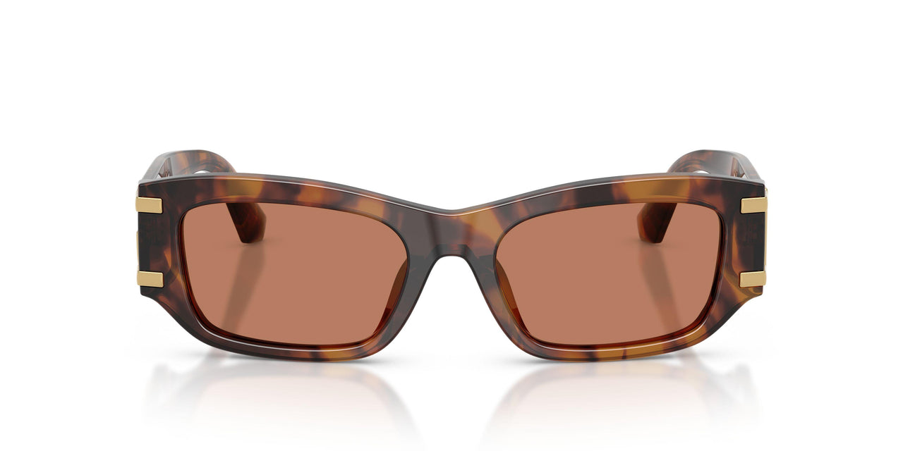 3497/3 - Tortoise - Brown