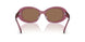 317973 - Pink - Dark Brown