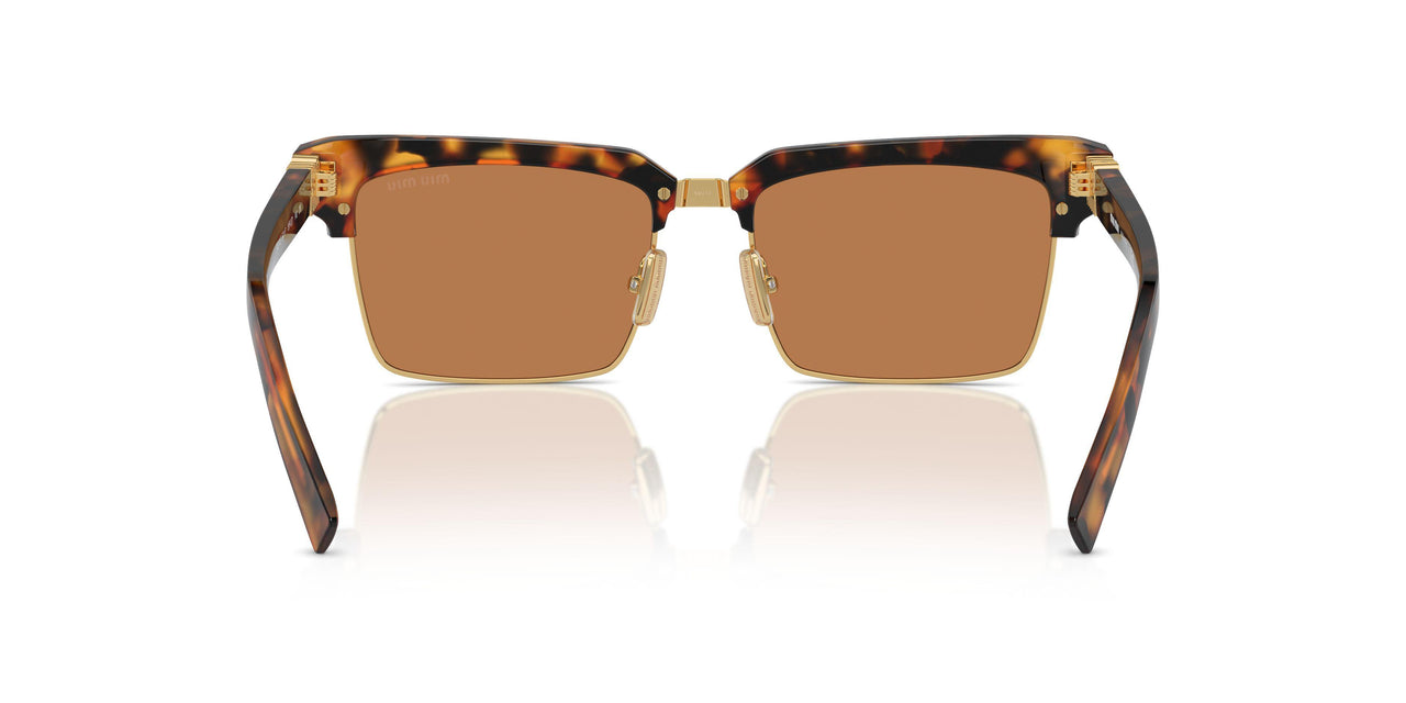 19P2Z1 - Tortoise - Brown