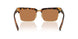 19P2Z1 - Tortoise - Brown