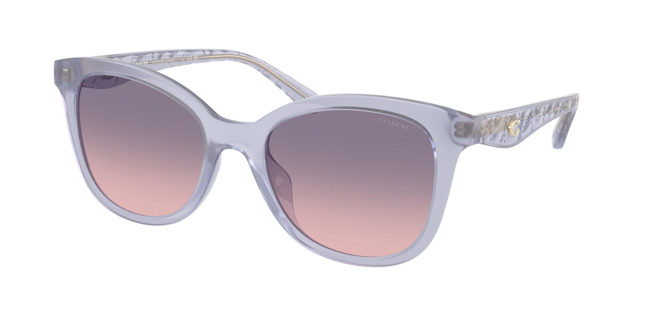 Coach Cad25 8419U Sunglasses