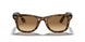 710/51 - Havana - Brown Gradient