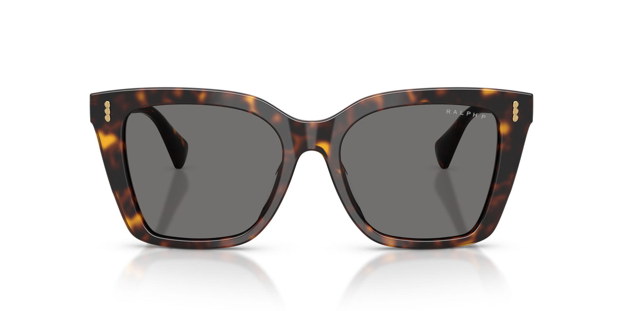 500381 - Tortoise - Polar Grey