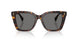 500381 - Tortoise - Polar Grey
