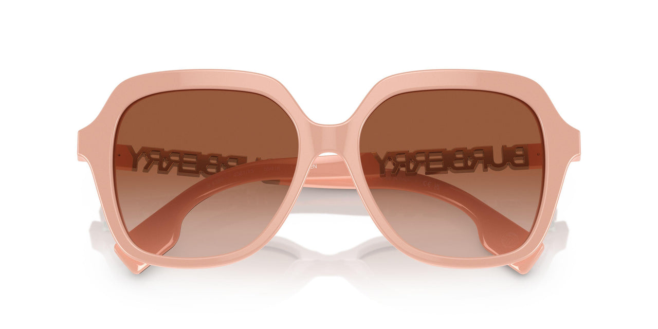 406113 - Pink - Brown Gradient