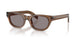 28I03D - Brown - Grey