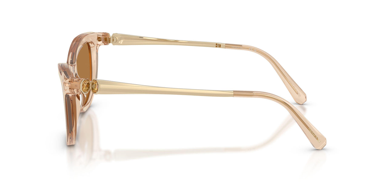109273 - Brown - Bronze