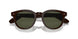 177252 - Brown - G-15