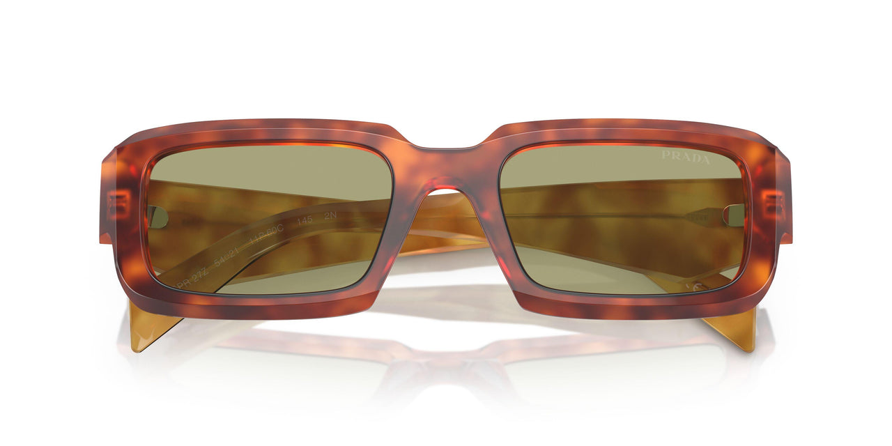 11P60C - Brown - Green