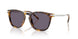 51341A - Tortoise - Purple