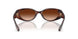 512074 - Tortoise - Brown Gradient