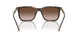 500313 - Tortoise - Gradient Dark Brown