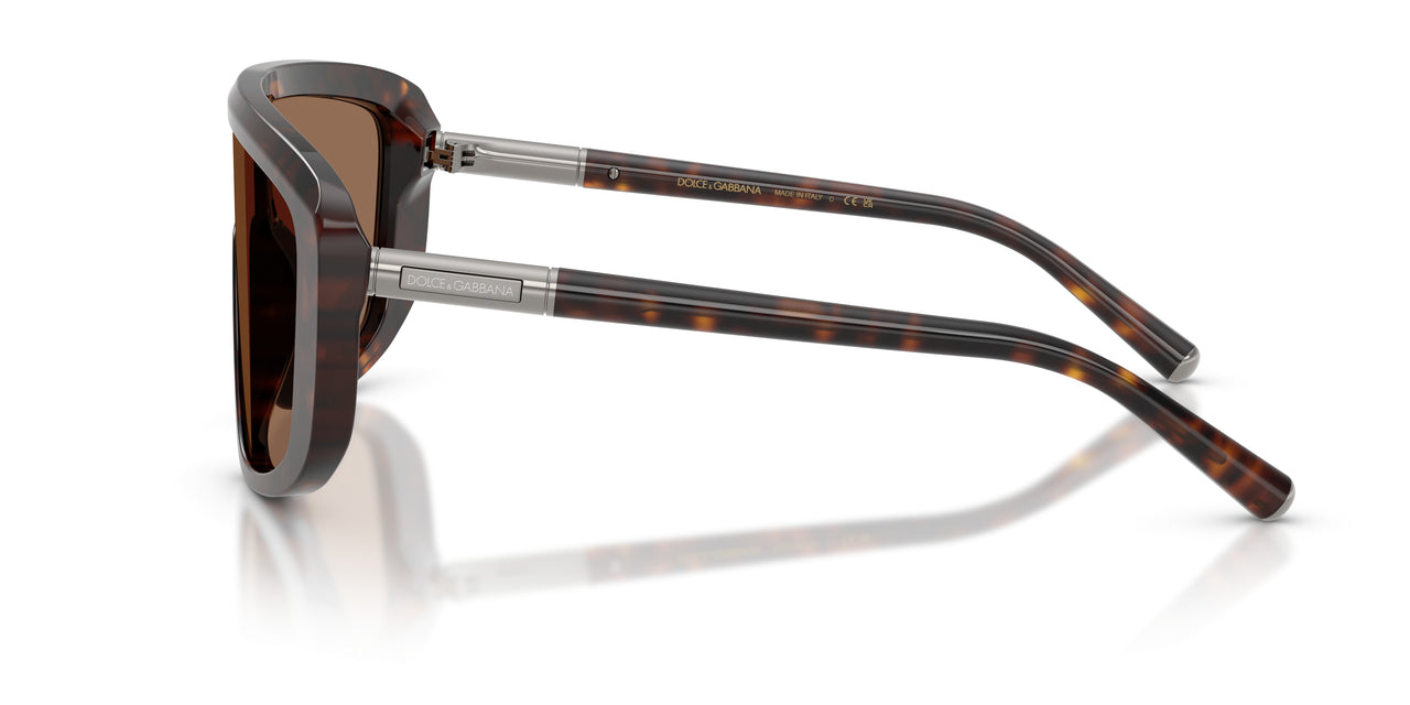 502/73 - Tortoise - Dark Brown