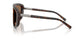 502/73 - Tortoise - Dark Brown