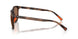 597473 - Tortoise - Dark Brown