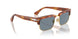 96/56 - Brown - Light Blue