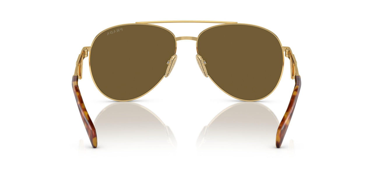 5AK01T - Gold - Dark Brown