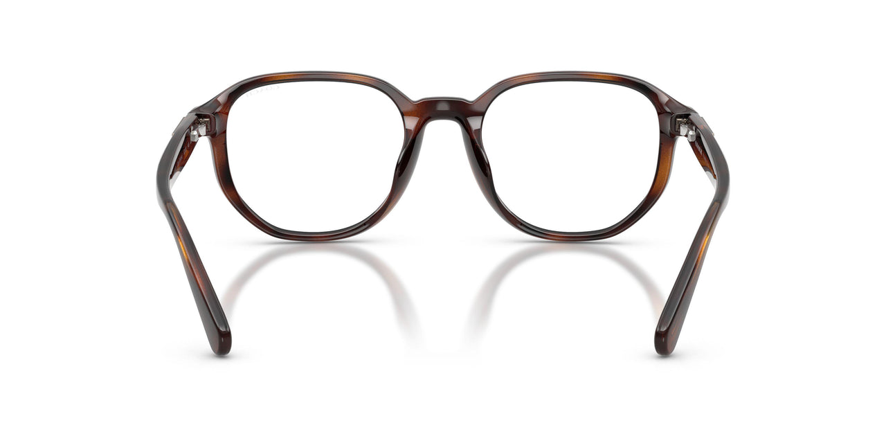 512073 - Tortoise - Brown Solid