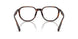 512073 - Tortoise - Brown Solid