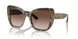 316313 - Leo Brown On Black - Brown Gradient