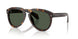 30029A - Tortoise - Dark Green Polar