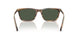 20P90V - Tortoise - Dark Green Polarized