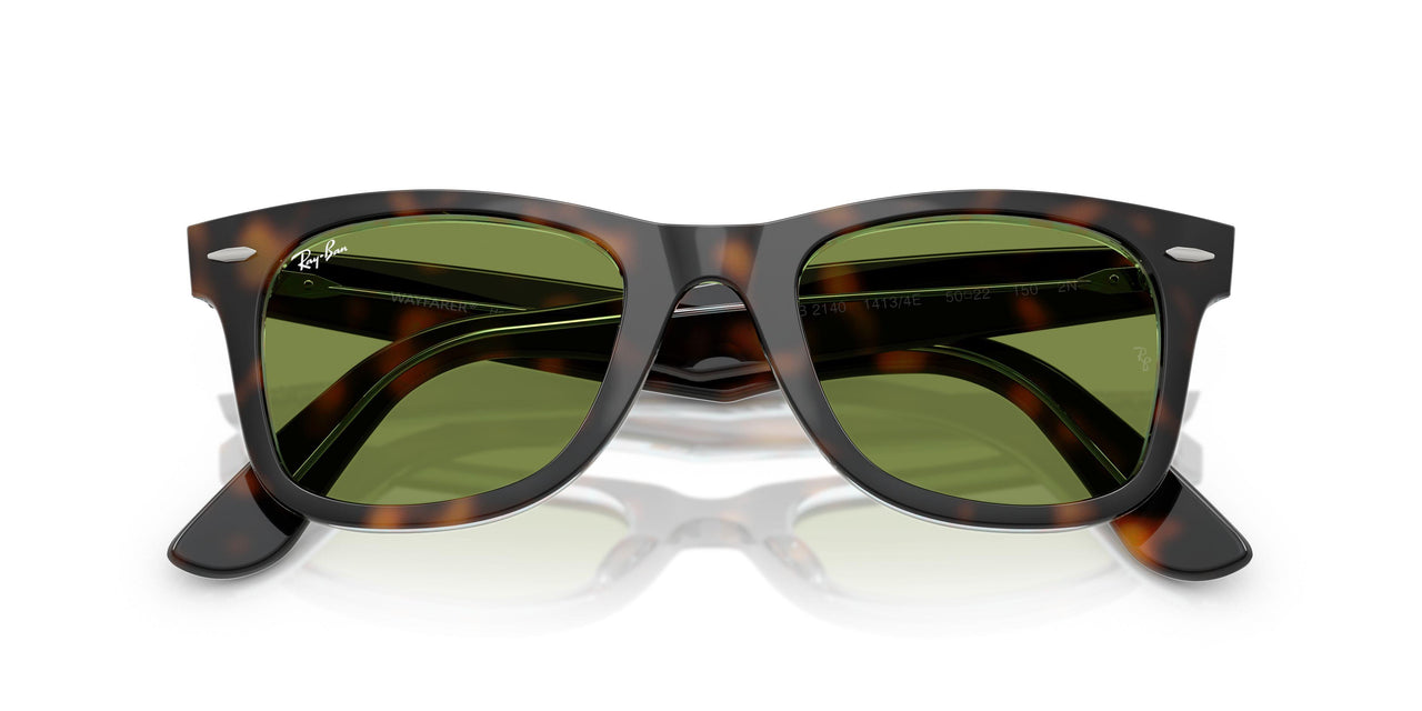 14134E - Tortoise - Green