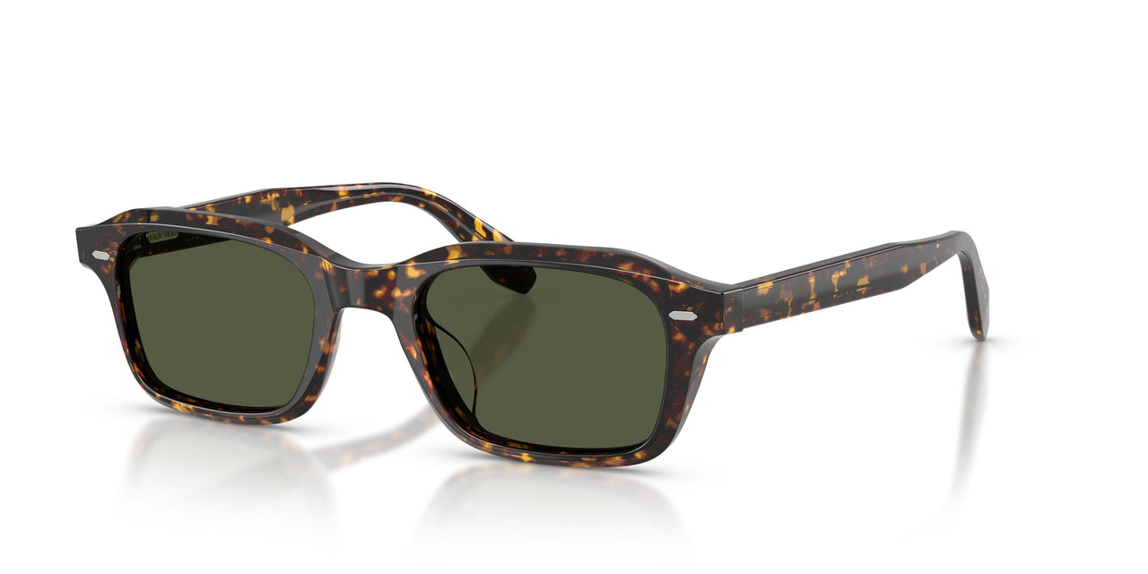 174152 - Tortoise - G-15
