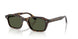 174152 - Tortoise - G-15