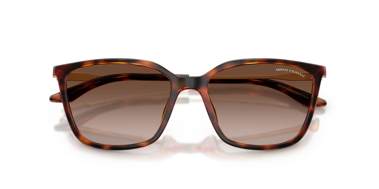 821313 - Tortoise - Brown Gradient