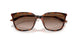 821313 - Tortoise - Brown Gradient