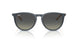 681311 - Blue - Gradient Grey