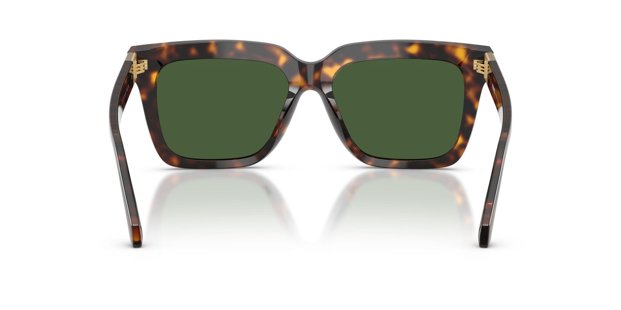 108/71 - Tortoise - Dark Grey