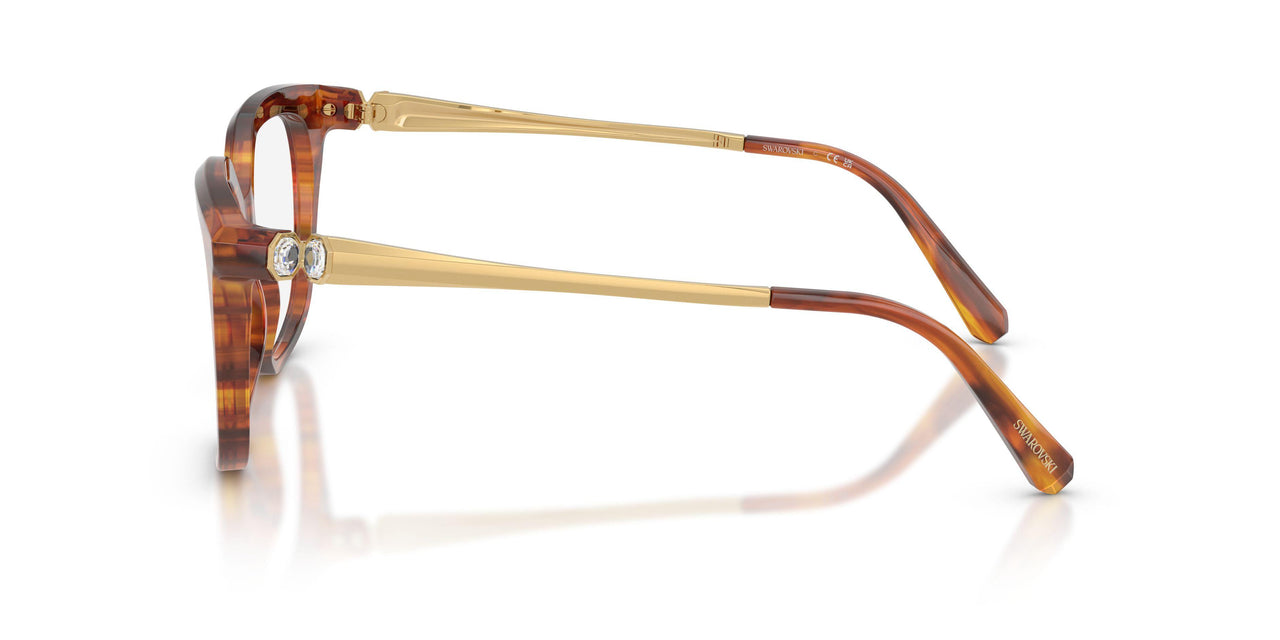 1091 - Brown