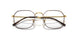 3177 - Tortoise - Clear
