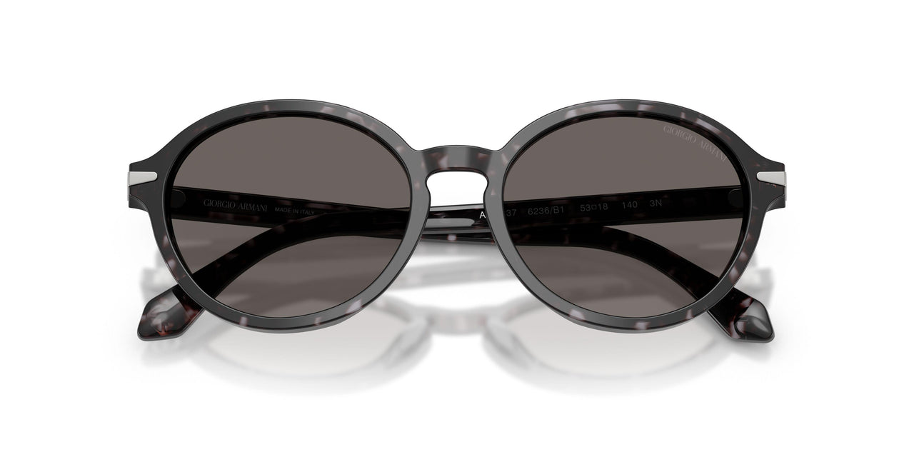6236B1 - Tortoise - Dark Grey